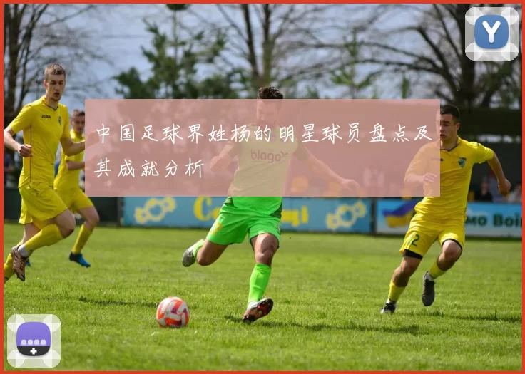 中国足球界姓杨的明星球员盘点及其成就分析