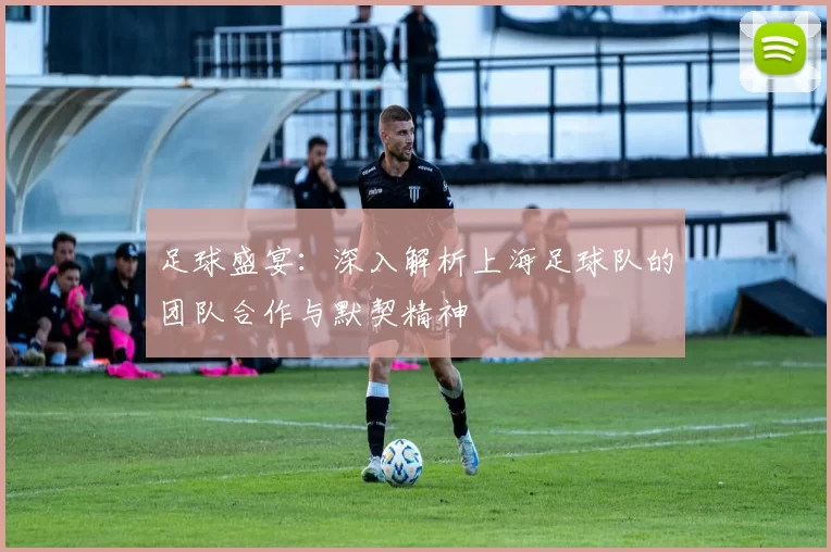 足球盛宴：深入解析上海足球队的团队合作与默契精神