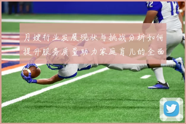 月嫂行业发展现状与挑战分析如何提升服务质量助力家庭育儿的全面支持