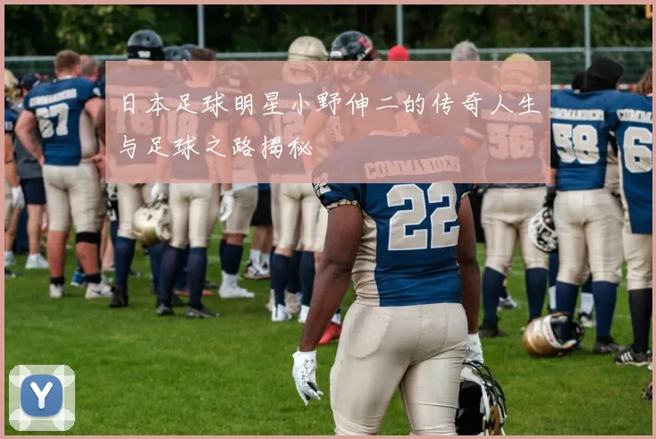 日本足球明星小野伸二的传奇人生与足球之路揭秘