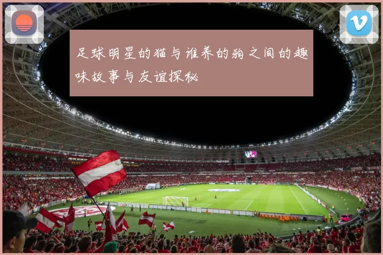足球明星的猫与谁养的狗之间的趣味故事与友谊探秘