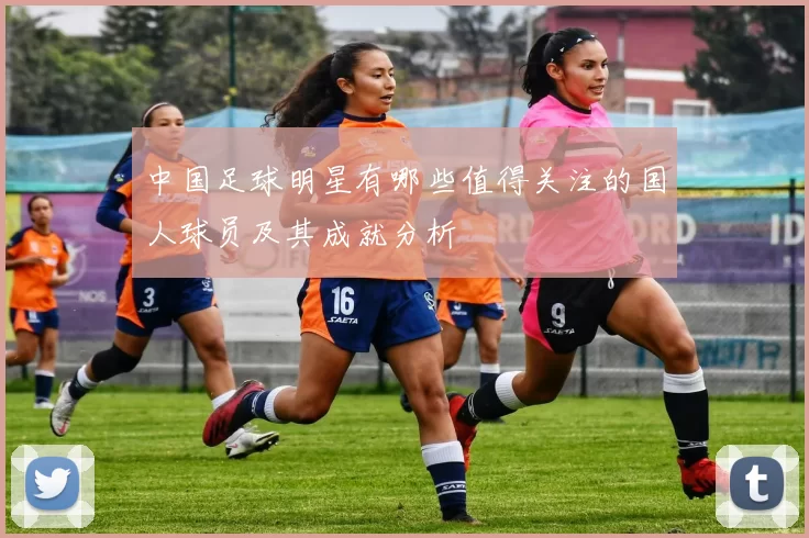 中国足球明星有哪些值得关注的国人球员及其成就分析
