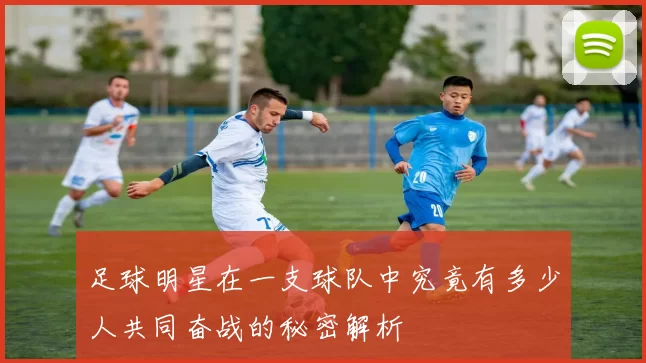 足球明星在一支球队中究竟有多少人共同奋战的秘密解析