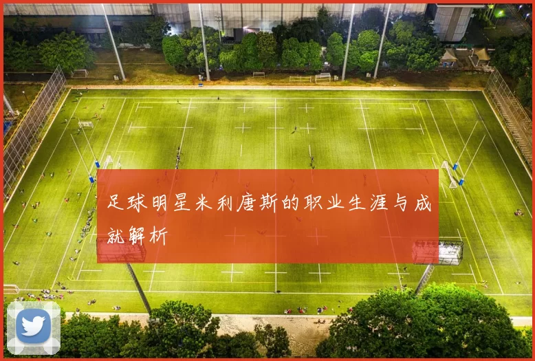 足球明星米利唐斯的职业生涯与成就解析