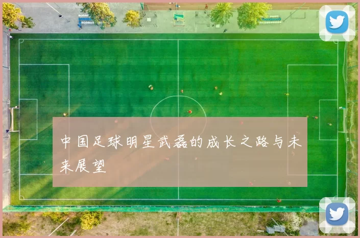 中国足球明星武磊的成长之路与未来展望