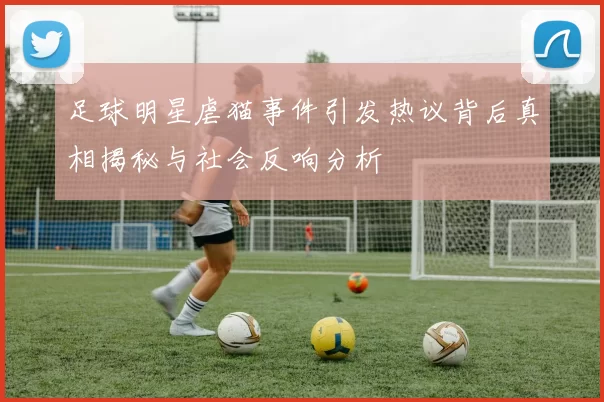 足球明星虐猫事件引发热议背后真相揭秘与社会反响分析