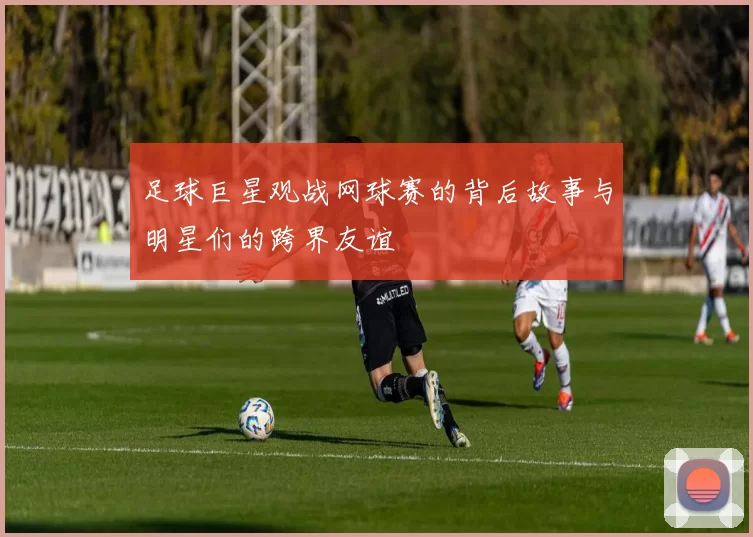 足球巨星观战网球赛的背后故事与明星们的跨界友谊
