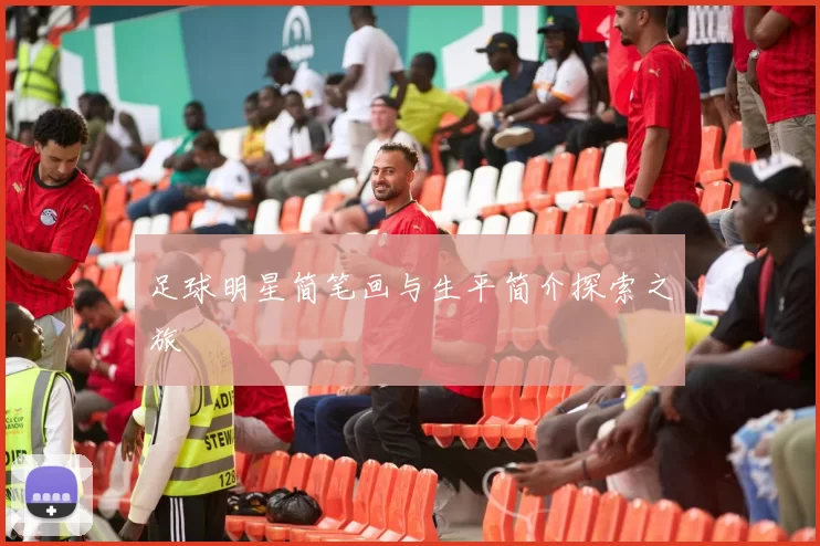 足球明星简笔画与生平简介探索之旅