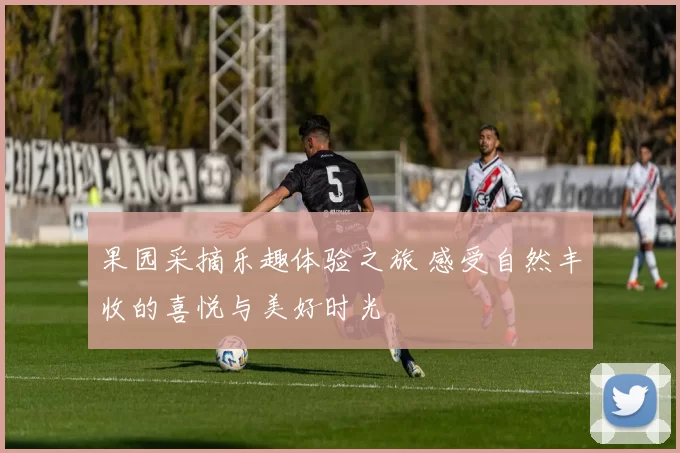 果园采摘乐趣体验之旅 感受自然丰收的喜悦与美好时光