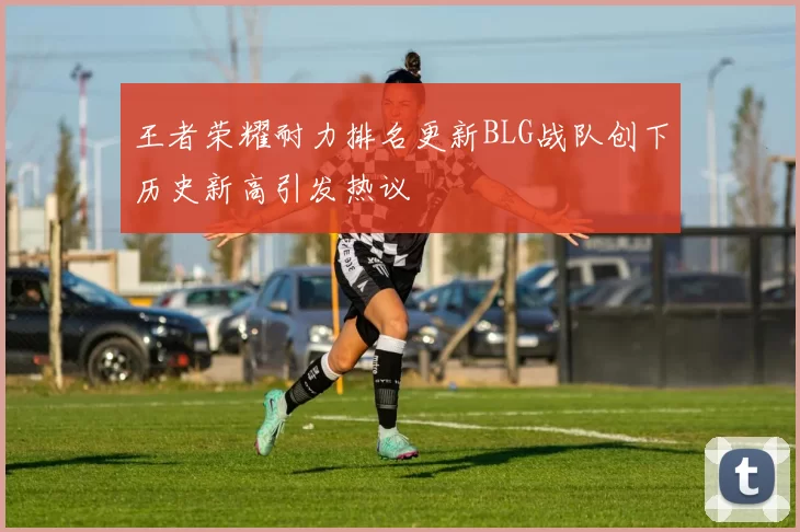 王者荣耀耐力排名更新BLG战队创下历史新高引发热议