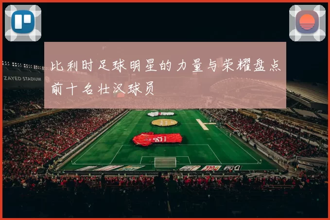 比利时足球明星的力量与荣耀盘点前十名壮汉球员