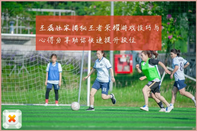 王磊独家揭秘王者荣耀游戏技巧与心得分享助你快速提升段位