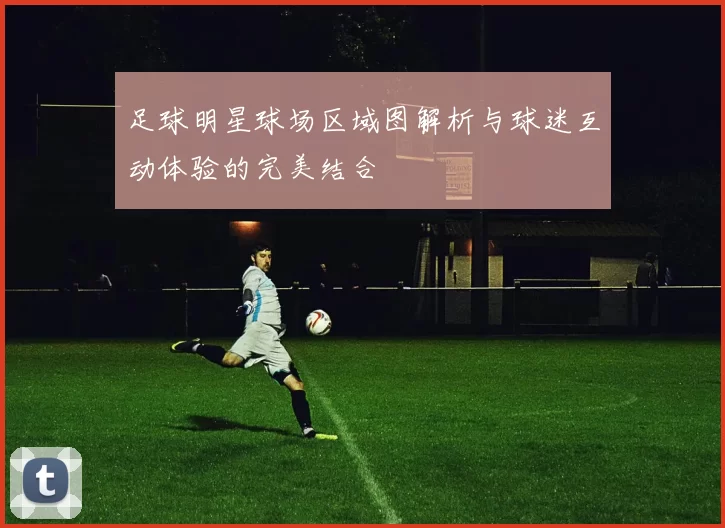 足球明星球场区域图解析与球迷互动体验的完美结合