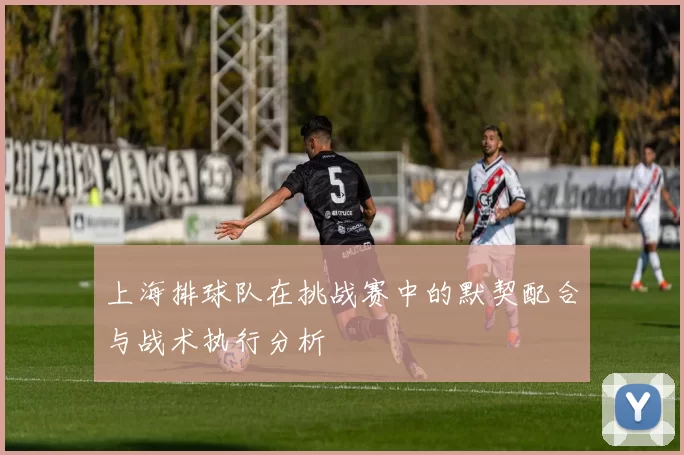 上海排球队在挑战赛中的默契配合与战术执行分析