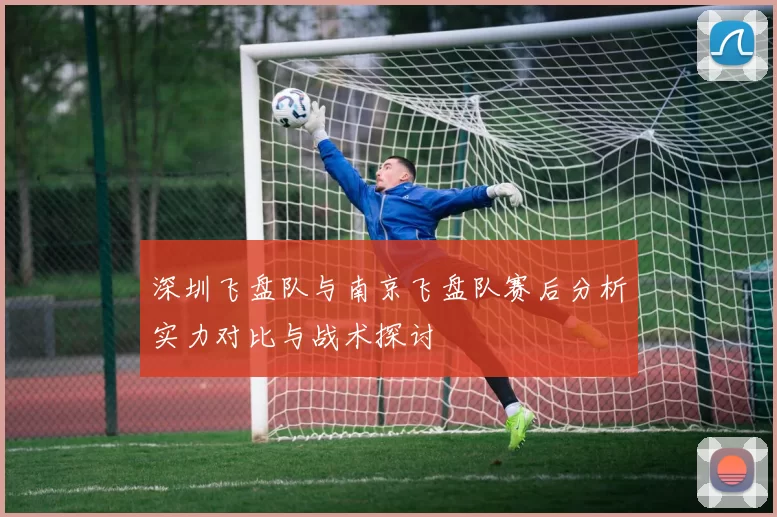 深圳飞盘队与南京飞盘队赛后分析实力对比与战术探讨