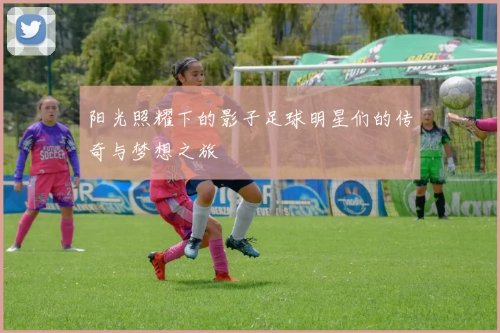 阳光照耀下的影子足球明星们的传奇与梦想之旅