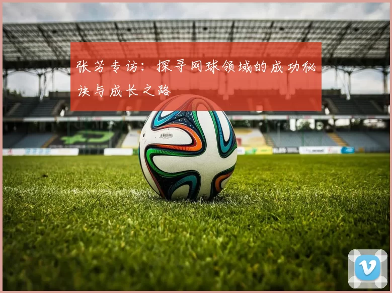 张芳专访：探寻网球领域的成功秘诀与成长之路
