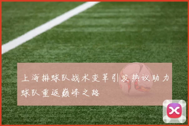 上海排球队战术变革引发热议助力球队重返巅峰之路