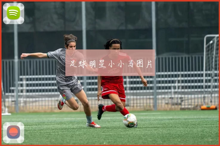 足球明星小小马图片