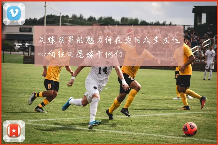 足球明星的魅力何在为何众多女性心向往之愿嫁于他们