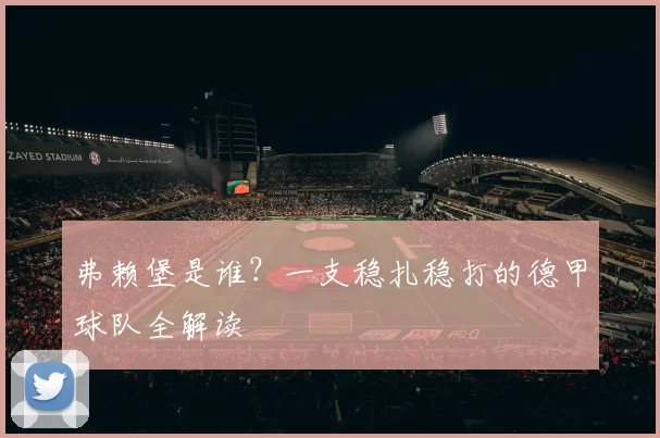 弗赖堡是谁？一支稳扎稳打的德甲球队全解读