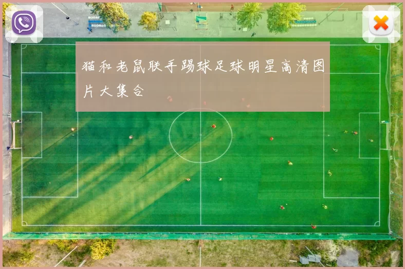 猫和老鼠联手踢球足球明星高清图片大集合