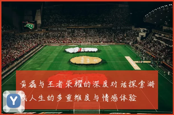 黄磊与王者荣耀的深度对话探索游戏人生的多重维度与情感体验