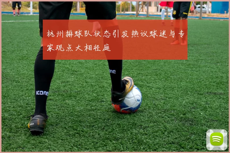 杭州排球队状态引发热议球迷与专家观点大相径庭