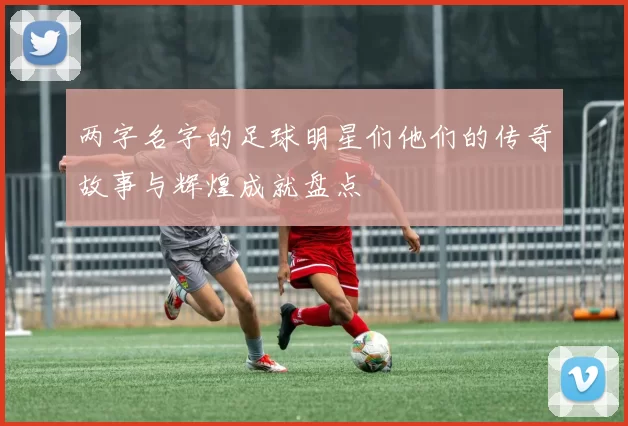 两字名字的足球明星们他们的传奇故事与辉煌成就盘点
