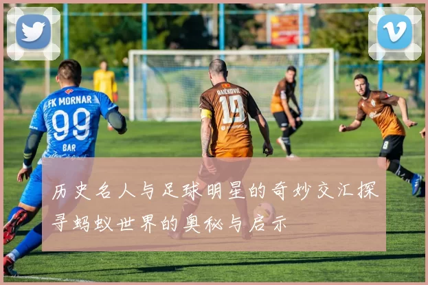 历史名人与足球明星的奇妙交汇探寻蚂蚁世界的奥秘与启示