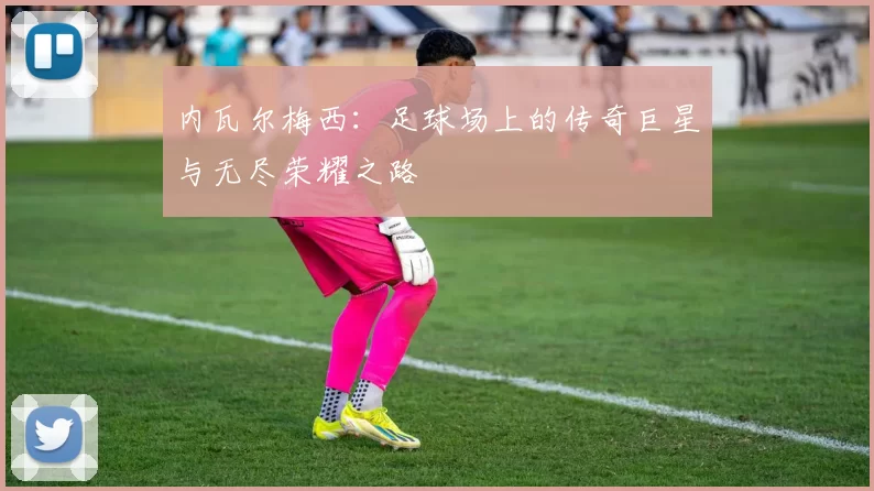 内瓦尔梅西：足球场上的传奇巨星与无尽荣耀之路